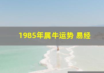 1985年属牛运势 易经